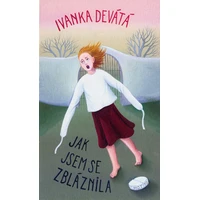 Jak jsem se zbláznila - E-kniha