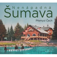 Nenápadná Šumava - E-kniha
