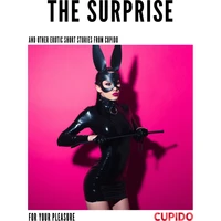 The Surprise - and other erotic short stories - E-kniha