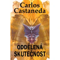 Oddělená skutečnost - E-kniha