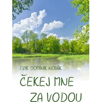Čekej mne za vodou - E-kniha