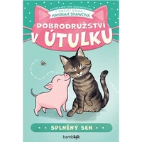Dobrodružství v útulku – Splněný sen - E-kniha