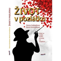 Život v pozlátku - E-kniha
