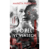 Popel ve vlasech - E-kniha