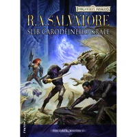 Slib Čarodějného krále - E-kniha