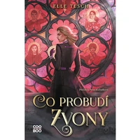 Co probudí zvony - E-kniha