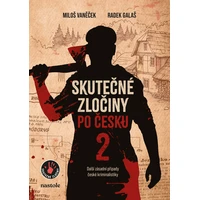 Skutečné zločiny po česku 2 - E-kniha