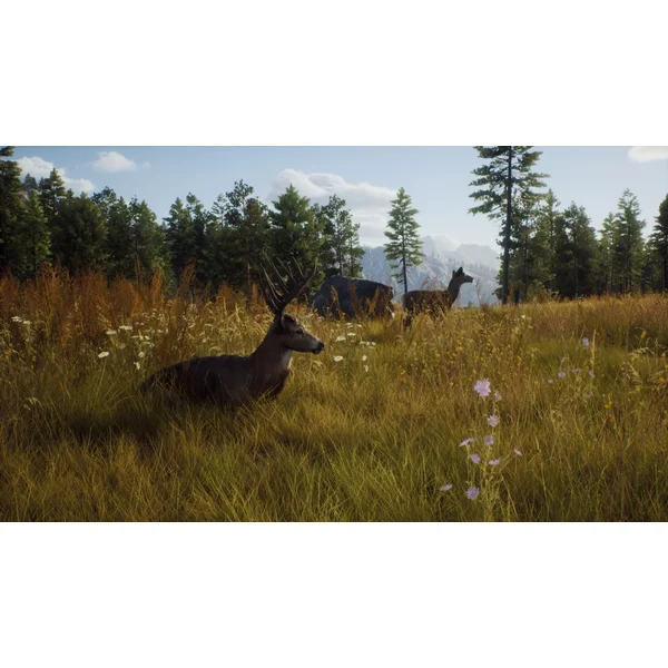 Way of the Hunter (Xbox Series X) - Hry pro Xbox One - Obrázek 76PB100501