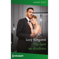 Na čem se shodnou - E-kniha