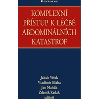 Komplexní přístup k léčbě abdominálních katastrof - E-kniha