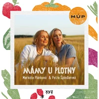 Mámy u plotny - E-kniha