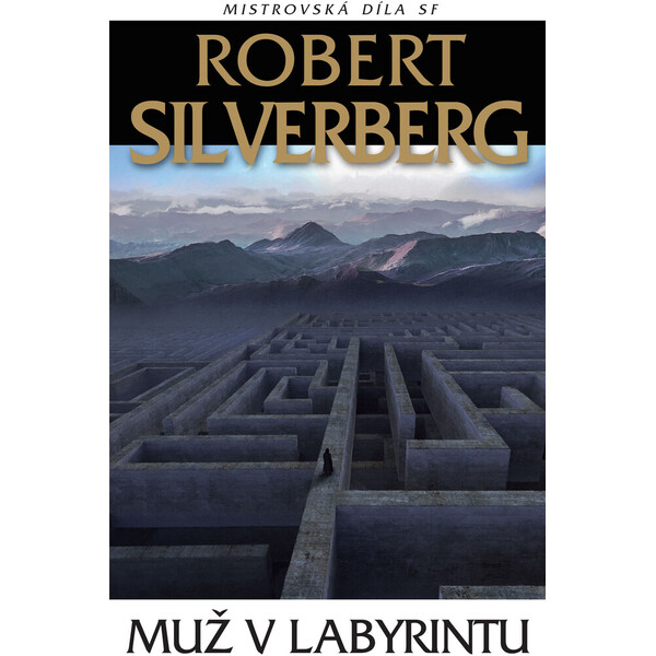 Muž v labyrintu