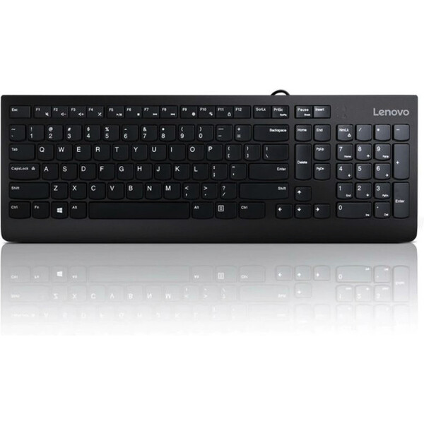 Lenovo 300 USB Klávesnice GX30M39663 Černá