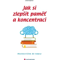 Jak si zlepšit paměť a koncentraci - E-kniha