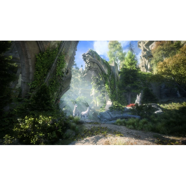 Dragon Age: The Veilguard (XSX) - Hry pro Xbox Series - Obrázek 7A78000P01