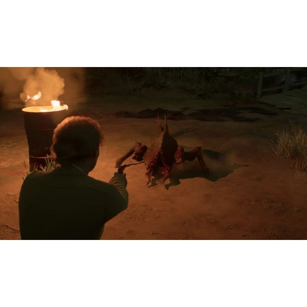 Alone in the Dark (Xbox Series X) - Hry pro Xbox Series - Obrázek 7O4G100501