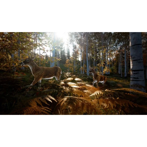 Hunting Simulator 2 (PS4) - Hry pro PS4 - Obrázek 7QD3100201
