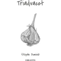 Třiadvacet - E-kniha