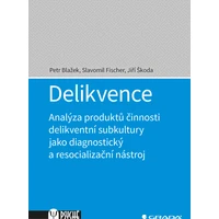 Delikvence - E-kniha