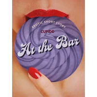At the Bar - Erotic Short Story - E-kniha