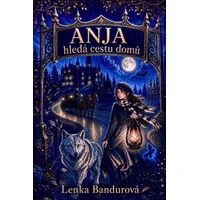 Anja hledá cestu domů - E-kniha