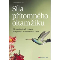 Síla přítomného okamžiku - E-kniha