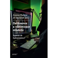 Delikvence a viktimizace mládeže - E-kniha
