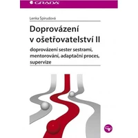 Doprovázení v ošetřovatelství II - E-kniha