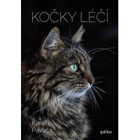 Kočky léčí - E-kniha