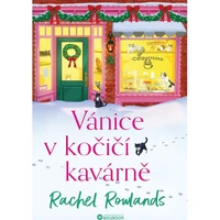 Vánice v kočičí kavárně - E-kniha