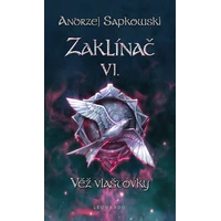 Zaklínač VI. - Věž vlaštovky - E-kniha