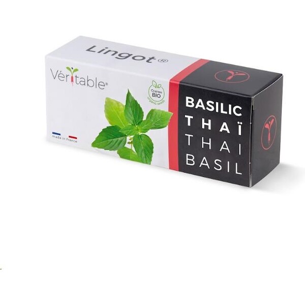 Véritable Lingot Thajská bazalka BIO