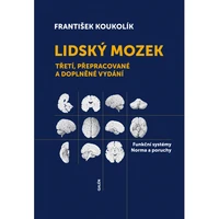 Lidský mozek - E-kniha