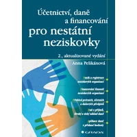 Účetnictví, daně a financování pro nestátní neziskovky - E-kniha