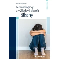 Terminologický a výkladový slovník šikany - E-kniha
