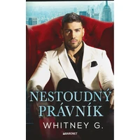 Nestoudný právník - E-kniha