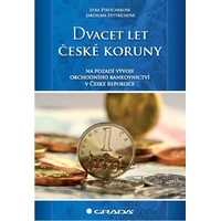 Dvacet let české koruny na pozadí vývoje obchodního bankovnictví v České republice - E-kniha