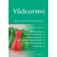 Vůdcovství - E-kniha