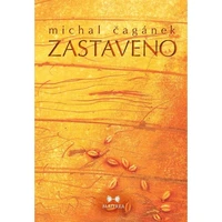Zastaveno - E-kniha