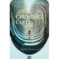 Chybějící části - E-kniha