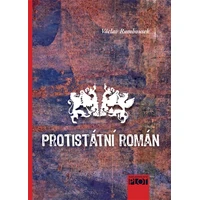 Protistátní román - E-kniha