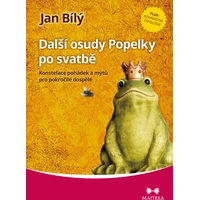 Další osudy Popelky po svatbě - E-kniha