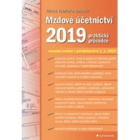 Mzdové účetnictví 2019 - E-kniha