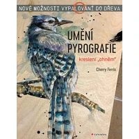 Umění pyrografie - E-kniha