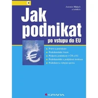 Jak podnikat po vstupu do EU - E-kniha