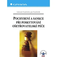 Pochybení a sankce při poskytování ošetřovatelské péče - E-kniha