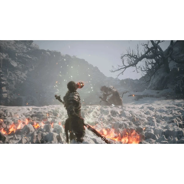 Black Myth: Wukong (PS5) - Hry pro PS5 - Obrázek 84BA000J01