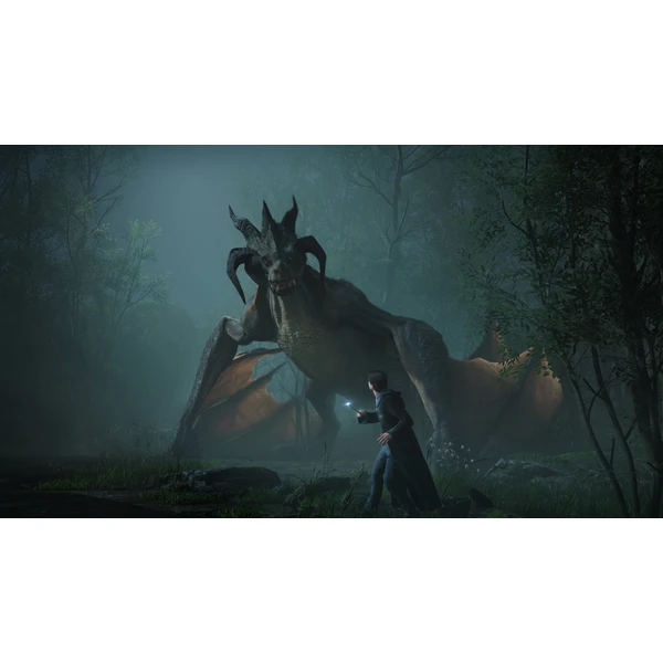 Hogwarts Legacy: Digital Deluxe Edition (Xbox Series/Xbox One) - Digitální hry pro Xbox Series - Obrázek 84TK100501