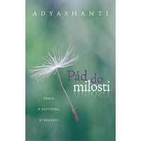 Pád do milosti - E-kniha