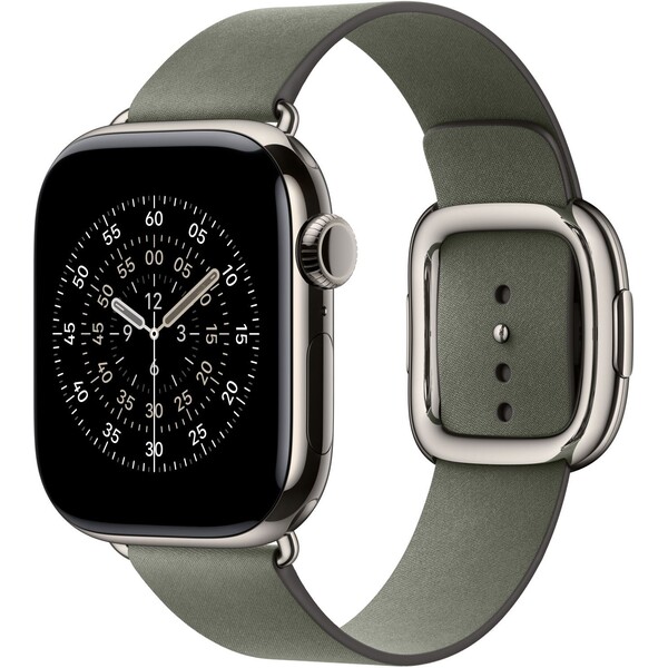Apple Watch 42/41/40/38mm šalvějově šedý řemínek s moderní přezkou velký